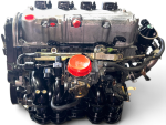 Honda Civic 2001 2002 2003 2004 2005 1.7L 4CYL VTEC Engine D17A2 0007P Motor - Image 16