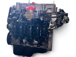 Honda Civic 2001 2002 2003 2004 2005 1.7L 4CYL VTEC Engine D17A2 0007P Motor - Image 7